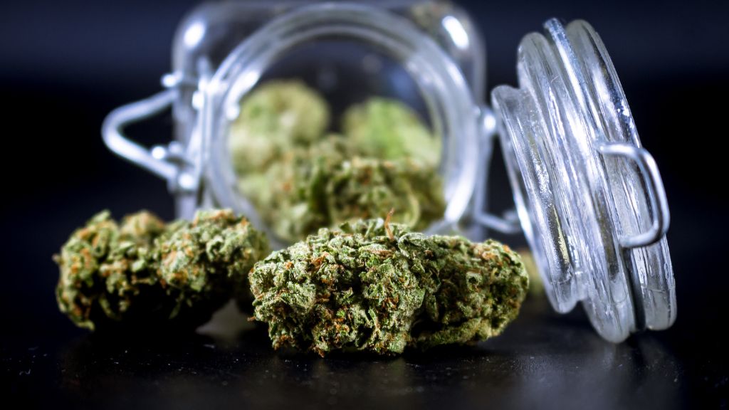 medical marijuana 2 36